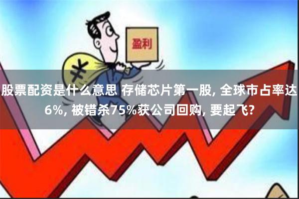 股票配资是什么意思 存储芯片第一股, 全球市占率达6%, 被错杀75%获公司回购, 要起飞?