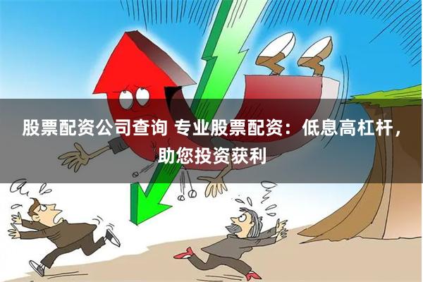 股票配资公司查询 专业股票配资：低息高杠杆，助您投资获利