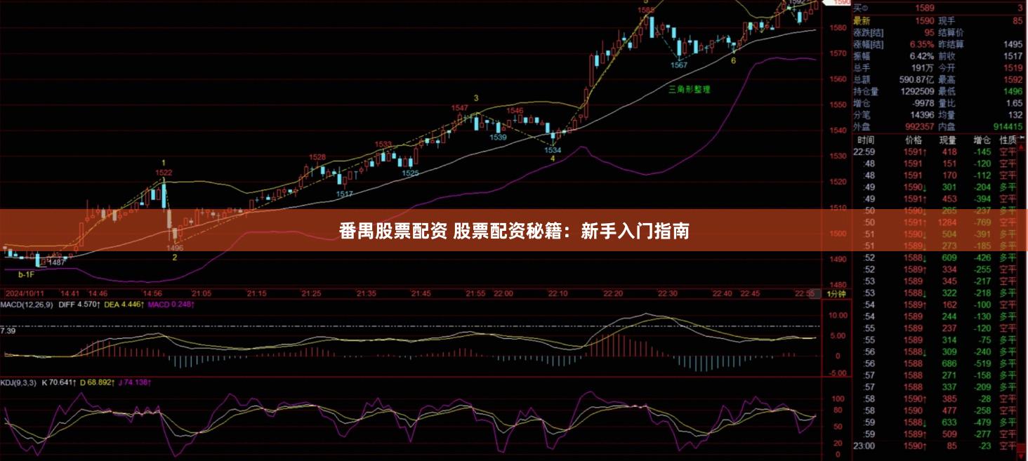 番禺股票配资 股票配资秘籍：新手入门指南