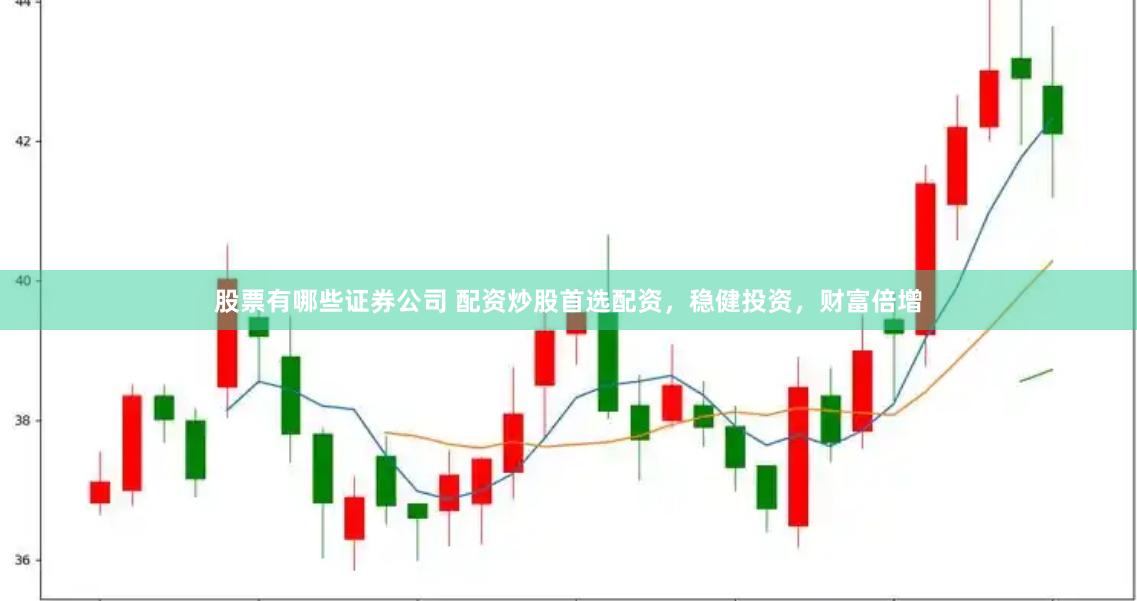 股票有哪些证券公司 配资炒股首选配资，稳健投资，财富倍增