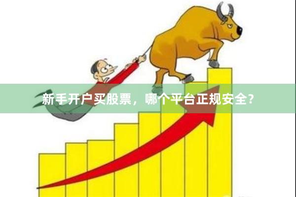 新手开户买股票,哪个平台正规安全?