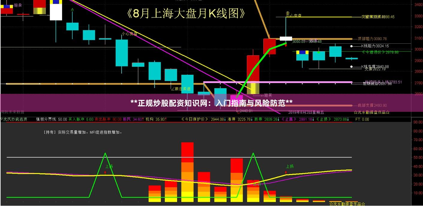 **正规炒股配资知识网：入门指南与风险防范**